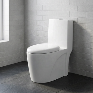 Export Quality Washdown Ceramic One-Piece Water Closet Toilet WC Commode Set - Made In India Sanitary Ware - Product Image 2