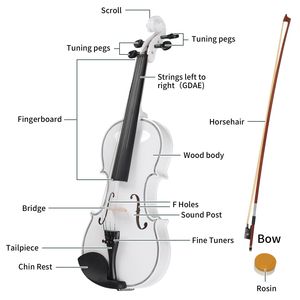 Violino Artigianale 4/4 per Adulti, Principianti e Studenti, con Custodia Rigida, Resina, Spalliera e Corde Extra - Non Vendere Separatamente - Product Image 4