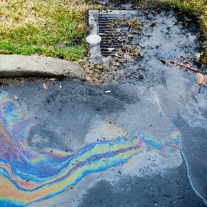 Bioculture à action rapide pour les sites de déversement d'hydrocarbures - Product Image 5