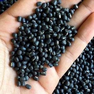 Urad Dal Negro Natural Más Vendido, Rico en Fibra y Proteínas para Cocinar y Uso Comercial, Disponible al Mejor Precio - Product Image 5