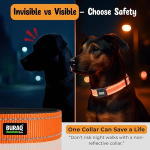 Neo Padded Reflective Dog <b>Collar</b> OEM ODM Custom Logo Adjustable Comfortable Pet <b>Collar</b> Direct Manufacturer - Product Image 6
