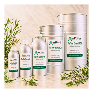 Huile Essentielle d'Arbre à Thé 100% Pure de Haute Qualité, Parfum Frais, Qualité Cosmétique, Conditionnement en Vrac pour Usage Cosmétique au Meilleur Prix - Product Image 5