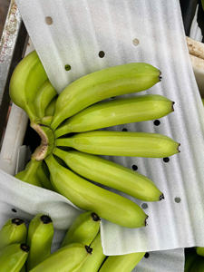 Plátanos Cavendish frescos de Vietnam, suministro global y OEM disponibles - Product Image 4