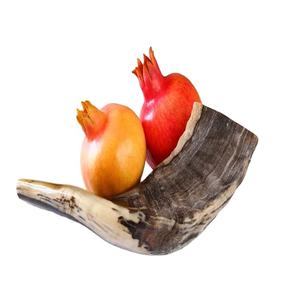 Corne de Shofar de qualité supérieure pour les fêtes juives Corne de bélier naturelle Rosh Hashanah Corne casher décorative pour Israël - Product Image 1