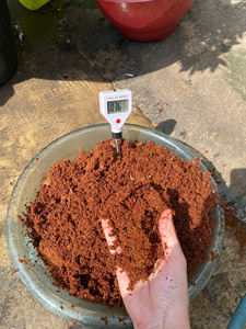 Bloque de Turba de Coco Ecológico y Ligero Eco2go Vietnam, Listo para Usar, para Plantación - Product Image 1