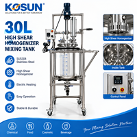 Cuve de mélange en acier inoxydable SUS304 de 30 L avec homogénéisateur à cisaillement élevé pour l'industrie alimentaire, cosmétique et chimique
