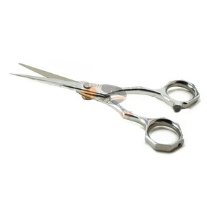 Ciseaux de coiffure professionnels de 5,5 pouces pour une coupe et un coiffage de précision, ciseaux de salon professionnels avec ressort poli - Product Image 1