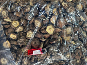 เห็ดแห้งคุณภาพสูงจากเวียดนาม ราคาถูก เห็ดชิตาเกะแห้งแบบขายส่ง - Product Image 2