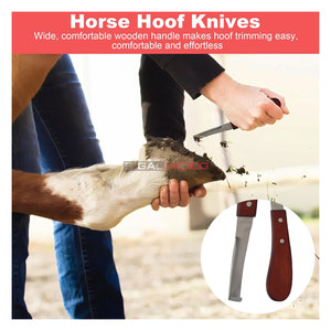 Kit de Herramientas Profesional para Herradores, para el Cuidado de Pezuñas de Caballos, Juego de Recorte de Pezuñas de Alta Resistencia, Incluye Alicates para Recortar Pezuñas y Tenazas para Herraduras - Product Image 5