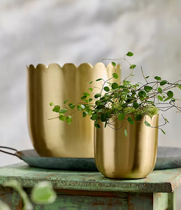 Brass Flower Pot <b>Gold</b> Finish Indoor Planters Pots Wholesale Garden Flower Pot Metal Indoor Stand Round - Product Image 4