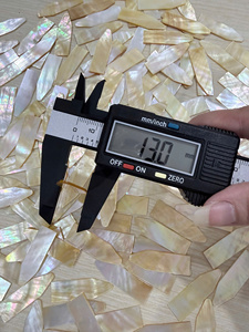 เศษเปลือกหอยมุกแบบไม่เป็นรูปทรงสำหรับงานโมเสกและงาน DIY - Product Image 4