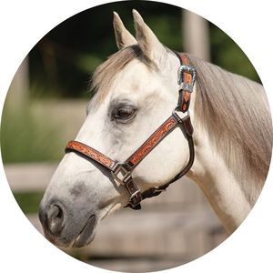 Cabestro para Caballo Acolchado de Cuero Súper Suave en Negro o Cuero Havana, Personalizado con Cuentas Turquesa y Cristales Brillantes - Product Image 3