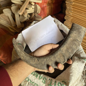 Punta de Cuerno de Búfalo Natural Ecológica, Color Negro Rústico, para Navidad y Año Nuevo Chino - Product Image 1