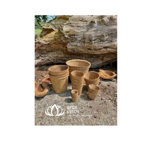 Pots à fleurs en fibre de coco BLUE LOTOS, design rustique écologique, biodégradables pour la plantation en jardin - Product Image 1