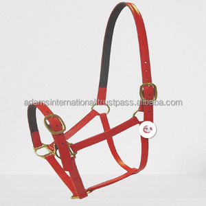 Best Quality Horse PVC <b>Halter</b> With a Soft Padding for Racing Equipment - Product Image 4