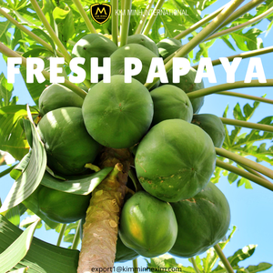 Vietnam <b>Fresh</b> <b>Papaya</b> _ Premium Quality Tropical Fruit for Bulk Orders Worldwide - Product Image 2