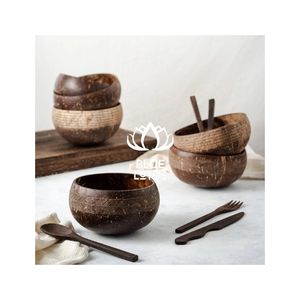 Bol en Coque de Noix de Coco le Plus Vendu – Vaisselle Écologique Réutilisable pour Servir Snacks et Desserts – Idéal pour Cafés et Détaillants - Product Image 1