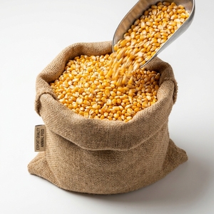 Maíz Amarillo de Grado Alimenticio, Alta Energía, Alimento para Ganado, Aves de Corral, Peces y Aplicaciones Industriales en Granjas - Product Image 1