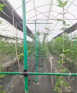 Agriculture Glass Fibre Pole Resistant Pultrusion Economical Fiberglass <b>Tree</b> <b>Stakes</b> <b>for</b> Fruit <b>Tree</b> Support - Product Image 4