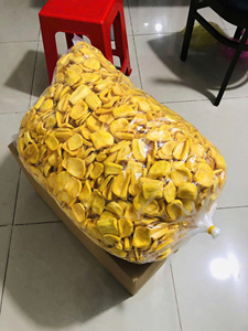Dried Jackfruit Vietnam Origin, Tropical Fruit Flesh for Retail Packaging, Dessert Topping, Gifts and Wholesale - Product Image 6