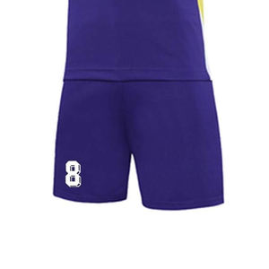 Último Diseño en Ropa Deportiva Transpirable de Secado Rápido, Conjunto de Uniformes de Voleibol, Precio de Fábrica, Top para Hombre 100% Poliéster - Product Image 6