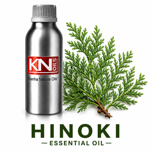 Aceite Esencial de Hinoki Chamaecyparis Obtusa 100% Orgánico Certificado de Primera Calidad, Fabricante a Granel, Envío a Todo el Mundo, Mayorista - Product Image 1
