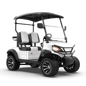 New Exclusive Factory 2-seater Tourist Bus Club Car Electric Golf Cart Hunting Car