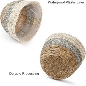 Juego de 3 Macetas de Fibra de Seagrass Biodegradables y Ecológicas de Alta Calidad, Estilo Rústico, Más Vendidas para Jardín, Interior y Exterior - Product Image 5