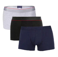 Sous-vêtements pour hommes en coton pur et élasthanne, taille basse, respirants, écologiques, non tissés, logo personnalisé, 3XL
