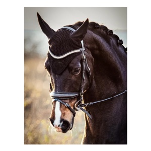 Bride en cuir anglais de qualité supérieure avec frontale incurvée ornée de cristaux, équipement équestre durable, trois rangées de décorations dorées - Product Image 1