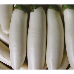 RIDDHI Berenjena Fresca (Alicante) Parte de las Verduras Frescas para Uso Alimentario - Product Image 1