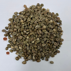 Grains de café Robusta S16 non torréfiés de qualité supérieure, origine Vietnam, arôme riche, corps corsé, approvisionnement en vrac pour torréfacteurs - Product Image 1