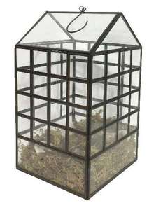 Terrarium géométrique en verre, pour plantes succulentes et plantes aériennes, pour la maison et le jardin, terrarium géométrique noir en verre avec couvercle, fait à la main - Product Image 4