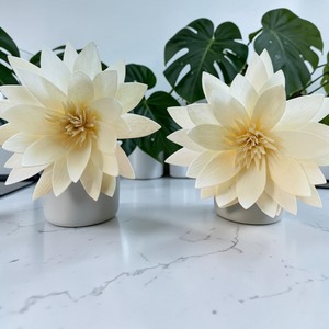 VADEE Premium Lotus Style Reed <b>Diffuser</b> <b>Flower</b> Sola Wood <b>Flowers</b> Sustainable Craft Handmade Seafoam Green Anemone 001 Phra - Product Image 3