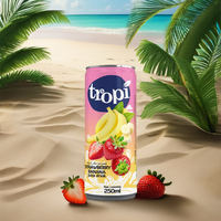 Op maat gemaakte fruitsapcocktail met smaak, NFC 100% kokoswater, geen concentraat, natuurlijke ingrediënten, 250ml/330ml/500ml