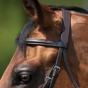 Brida Inglesa de Cuero Genuino de Alta Calidad para Carreras de Caballos con Hermosas Piedras en la Narigueira, Equipo de Equitación de la Mejor Calidad, OEM - Product Image 5