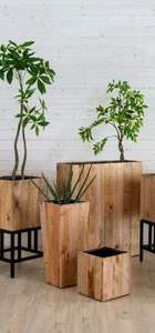 Étagère en bois massif sculpté en racine d'arbre naturel pour salon, support pour bonsaï, vente en gros - Product Image 5