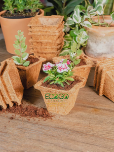 Grow Naturally with Coir Pots – Coconut Fiber <b>Plant</b> Pots <b>for</b> Seedlings, <b>Propagation</b> & Nursery Applications Eco2go Vietnam - Product Image 6