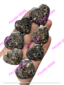 Cabujón de Ágata Turritella Natural de la Mejor Calidad, Pulido a Mano, Tamaño Personalizable, Entrega Rápida, para Joyería - Product Image 4