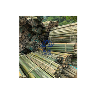 PRÊT À EXPÉDIER – Lames de bambou écologiques, sûres et propres, 100 % végétales, idéales pour la tressage de paniers et la création artisanale – Prix direct - Product Image 1