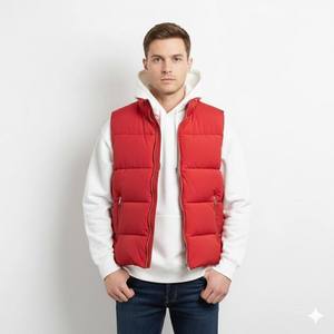 Chaleco Acolchado Rojo para Hombre, Cuello Alto, Cierre de Cremallera, Resistente al Viento, Informal, para Invierno, sin Mangas, con Logotipo Personalizado - Product Image 1