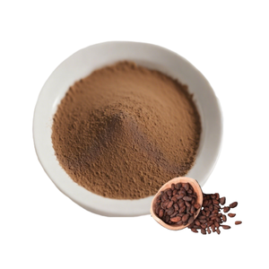 Cacao en Polvo de la Mejor Calidad, 100% Natural, Grado Alimenticio, para Formulaciones de Bebidas y Mezclas Nutricionales - Product Image 1