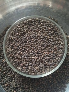 Pimienta Negra de Vietnam de Alta Calidad, Especias Fuertes Secas, Precio de Procesamiento Crudo, Más Vendida - Product Image 4