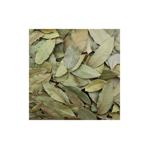 ใบกระวานแห้งคุณภาพสูง ยี่ห้อ Gui Ye สำหรับขาย - Product Image 6
