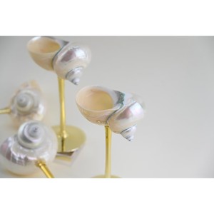 Copa de vino con forma única inspirada en un concha, con soporte metálico, juego de 2, que agrega encanto costero a las colecciones de artículos para beber. - Product Image 2