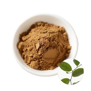 Poudre de Gymnema Sylvestre 100% Naturelle, Qualité Alimentaire, Meilleure Vente OEM, Fournisseur en Gros d'Inde - Product Image 1