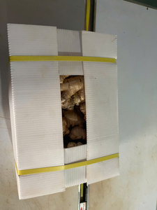 ขิงสด รากขิงธรรมชาติ จำหน่ายส่ง สำหรับแปรรูปอาหาร ค้าปลีก เกษตรกรรม และการทำอาหาร - Product Image 3
