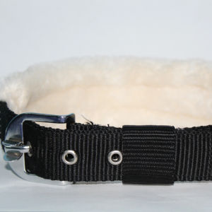 Collar de piel elegante y de primera calidad para perros con hebilla ajustable, servicios OEM y ODM de Divine International - Product Image 1