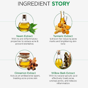 Sérum Visage Anti-Acné au Neem, Curcuma, Cannelle et Extrait d'Écorce de Saule – Sérum Clarifiant pour la Peau – Vente en Gros OEM ODM - Product Image 5