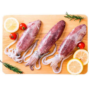 Calamar frais disponible à la vente au prix de gros pour les acheteurs du monde entier - Product Image 5